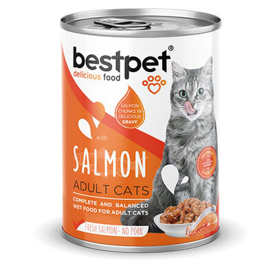BestPet Parça Etli Somon Balıklı Yetişkin Kedi Konservesi 400 Gr 