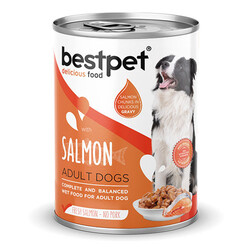 Bestpet - BestPet Parça Etli Somon Etli Yetişkin Köpek Konservesi 400 Gr 