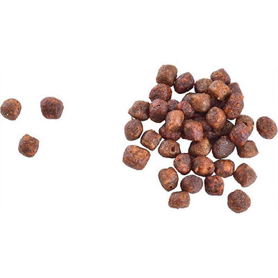 Brit Care Gentle Digestion & Strong Immunity Somonlu Tahılsız Yavru Kedi Maması 7 Kg 