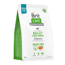 Brit Care Skin Coat Adult Large Breed Somonlu Büyük Irk Tahılsız Yetişkin Köpek Maması 12 Kg - Thumbnail
