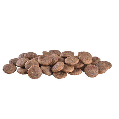 Brit Care Veterinary Diet Struvite Yumurtalı Tahılsız Köpek Maması 2 Kg 