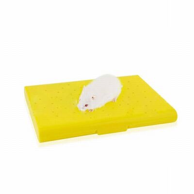 EuroGold Carno Soğutucu Buz Torbalı Hamster Yatağı 14x10x1 Cm 
