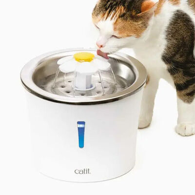 Catit 2.0 Flower Fountain Çelik Hazneli Kedi Su Sebili