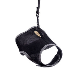 Cattie Havalı Dokuma Kedi Göğüs ve Gezdirme Tasması Medium Siyah 1x25-35 Cm - Thumbnail