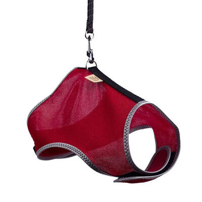 Cattie Havalı Dokuma Kedi Göğüs ve Gezdirme Tasması Small Kırmızı 1x20-30 Cm 