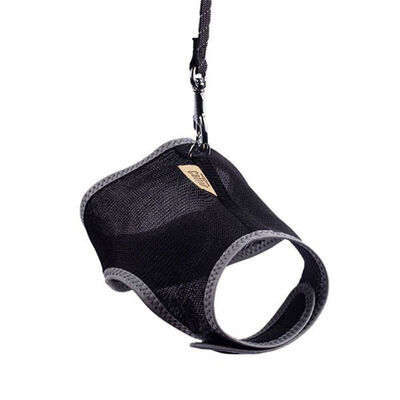 Cattie Havalı Dokuma Kedi Göğüs ve Gezdirme Tasması Small Siyah 1x20-30 Cm 