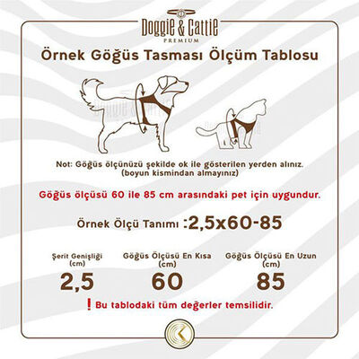 Cattie Havalı Dokuma Kedi Göğüs ve Gezdirme Tasması Small Turuncu 1x20-30 Cm 