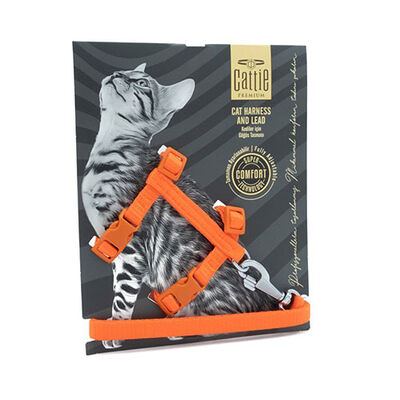 Cattie Kedi Göğüs ve Gezdirme Tasma Takımı Turuncu 1x25-40 Cm 