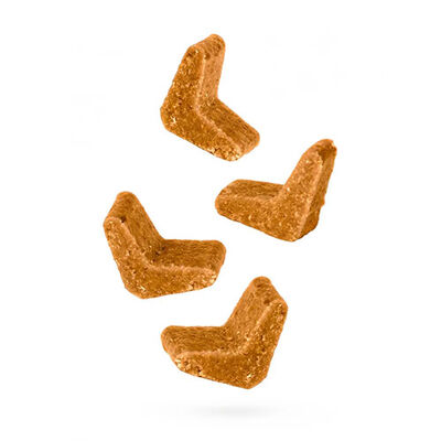 Chewzy Prebiyotikli Yumuşak Kedi Ödül Maması 130 g 
