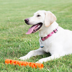 Chuckit! Air Fetch Stick Dayanıklı Çubuk Köpek Oyuncağı Büyük Boy 31 Cm - Thumbnail