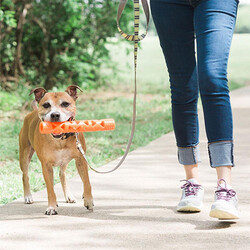 Chuckit! Air Fetch Stick Dayanıklı Çubuk Köpek Oyuncağı Küçük Boy 18 Cm - Thumbnail
