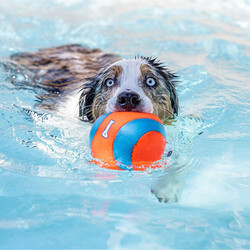 Chuckit! Amphibious Yüzebilen Köpek Oyun Topu 12 Cm - Thumbnail