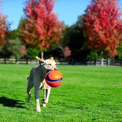 Chuckit! Kick Fetch Köpek Oyun Topu Büyük Boy 20 Cm - Thumbnail