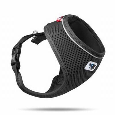 Curli Basic Air-Mesh Köpek Göğüs Tasması Black XL 