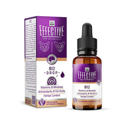 Delibon - Delibon Effective Kedi ve Köpek B12 Destek Damlası 50 ml 