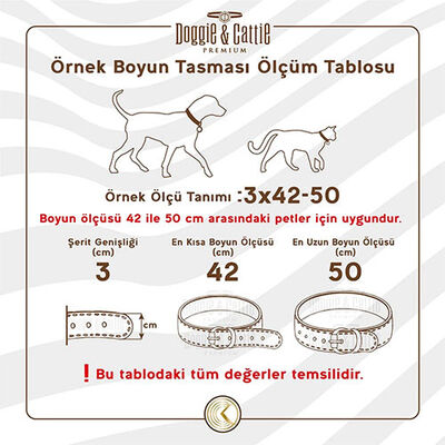 Doggie Boğma Zincir Köpek Eğitim Tasması 3,5x55 Cm 