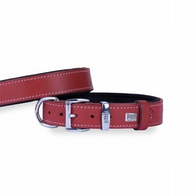 Doggie Konfor Deri Köpek Boyun Tasması Kırmızı 2,5x37 45 Cm 