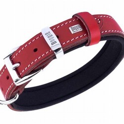 Doggie Konfor Deri Köpek Boyun Tasması Kırmızı 2,5x37 45 Cm - Thumbnail