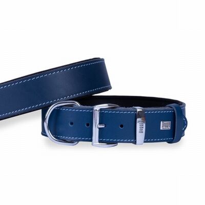 Doggie Konfor Deri Köpek Boyun Tasması Royalblue 4x47 55 Cm 