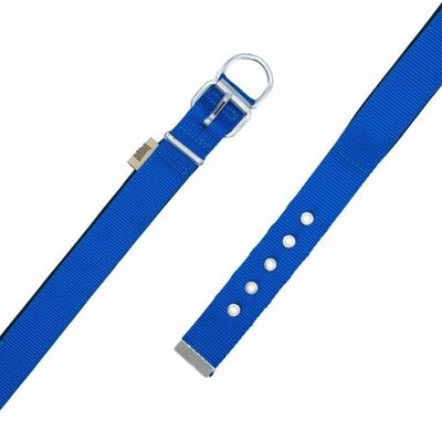 Doggie Konfor Dokuma Köpek Boyun Tasması Royalblue 3x47 55 Cm 