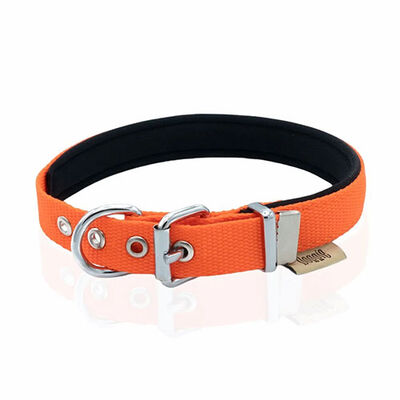 Doggie Konfor Dokuma Turuncu Köpek Boyun Tasması Small 2 x 30-35 cm 