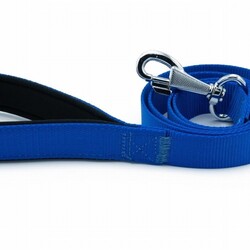 Doggie Konfor Klasik Dokuma Köpek Gezdirme Tasması Royalblue 2,5x120 Cm - Thumbnail