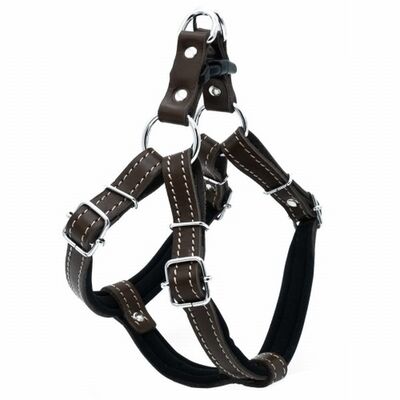Doggie Konfor Ronin Deri Köpek Göğüs Tasması Kahverengi 2x45 55 Cm 