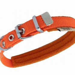 Doggie Polar Pedli Sade Dokuma Köpek Boyun Tasması Turuncu 1,5x25-30 Cm - Thumbnail