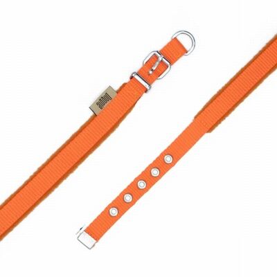Doggie Polar Pedli Sade Dokuma Köpek Boyun Tasması Turuncu 1,5x25-30 Cm 