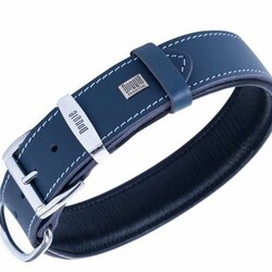 Doggie Yumuşak Firstclass Deri Köpek Boyun Tasması Royalblue 4x47-55 Cm - Thumbnail