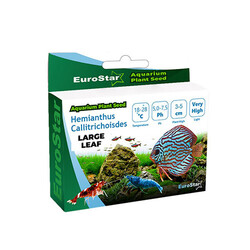 EuroStar - EuroStar Bitki Tohum Large Leaf Base Plant Akvaryum Bitki Tohumu 