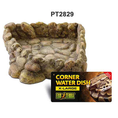 Exo Terra Corner Water Dish Sürüngen Su Kabı XL 