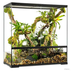 Exo Terra - Exo Terra Pro Paludarium 90x45x90 Cm 