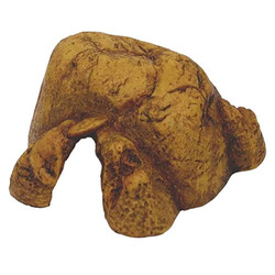 Exo Terra - Exo Terra Reptil Cave Sürüngen Mağarası Small 17x15,5x7,5 Cm 