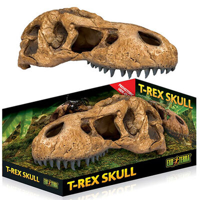 Exo Terra T-Rex Dinazor Kafatası Sürüngen Yuvası Dekor 