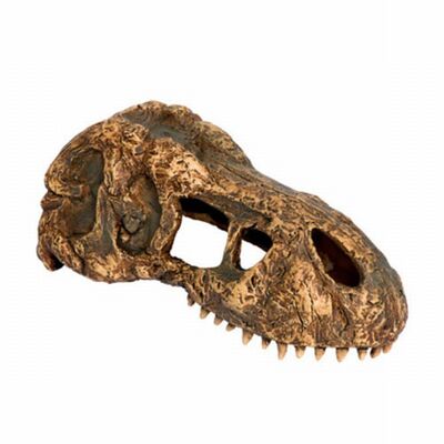 Exo Terra T-rex Kafatası Sürüngen Aksesuarı 
