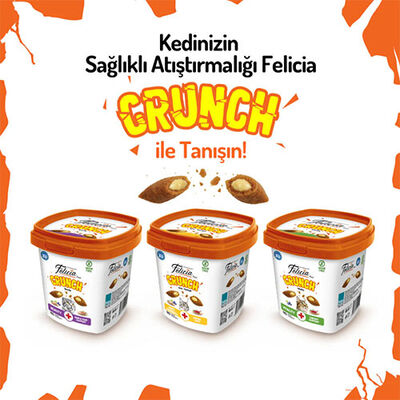 Felicia Beauty Crunch Tavuklu ve Somonlu Kedi Ödül Maması 100 Gr 