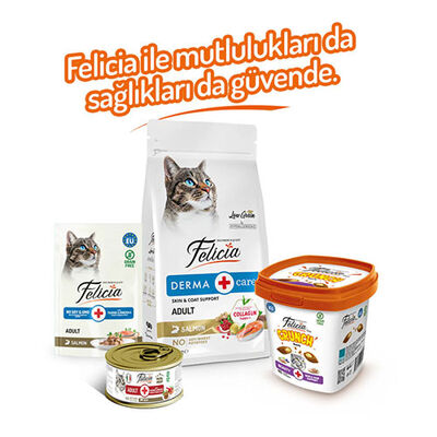 Felicia Beauty Crunch Tavuklu ve Somonlu Kedi Ödül Maması 100 Gr 