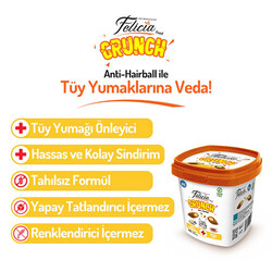 Felicia Crunch Hairball Tavuklu Yaban Mersinli ve Sütlü Kedi Ödül Maması 100 Gr - Thumbnail