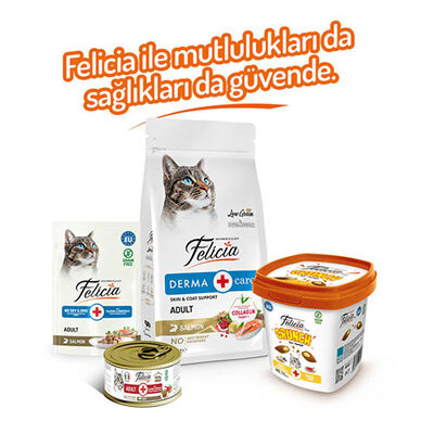 Felicia Crunch Hairball Tavuklu Yaban Mersinli ve Sütlü Kedi Ödül Maması 100 Gr 