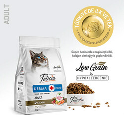 Felicia - Felicia Hipoalerjenik Kolajen Destekli Somonlu Yetişkin Kedi Maması 5 Kg 