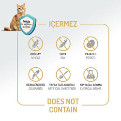 Felicia Hipoalerjenik Kolajen Destekli Somonlu Yetişkin Kedi Maması 5 Kg - Thumbnail