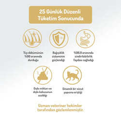 Felicia Hipoalerjenik Kolajen Destekli Somonlu Yetişkin Kedi Maması 5 Kg - Thumbnail