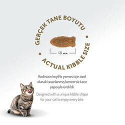 Felicia Hipoalerjenik Kolajen Destekli Somonlu Yetişkin Kedi Maması 5 Kg - Thumbnail