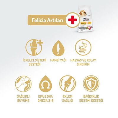Felicia Hypoallergenic Küçük ve Orta Irk Kuzulu Düşük Tahıllı Yavru Köpek Maması 3 Kg 