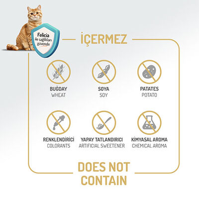 Felicia Hypoallergenic Kuzulu Düşük Tahıllı Yavru Kedi Maması 12 Kg 