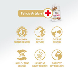 Felicia Hypoallergenic Kuzulu Düşük Tahıllı Yavru Kedi Maması 12 Kg - Thumbnail