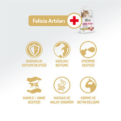 Felicia Hypoallergenic Kuzulu Düşük Tahıllı Yavru Kedi Maması 2 Kg - Thumbnail