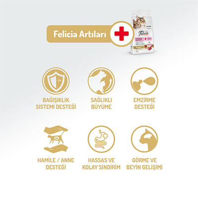 Felicia Hypoallergenic Kuzulu Düşük Tahıllı Yavru Kedi Maması 2 Kg 