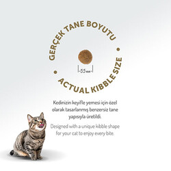 Felicia Hypoallergenic Kuzulu Düşük Tahıllı Yavru Kedi Maması 2 Kg - Thumbnail